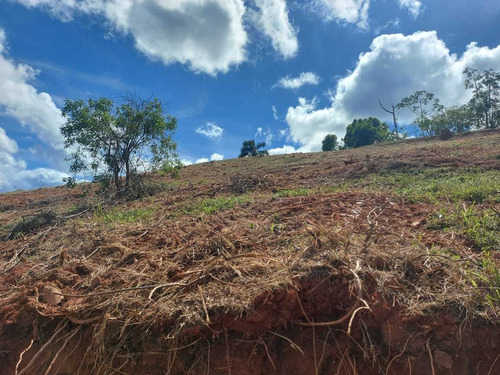 Imagem 13 de 14 de Im41- Lote Para Chacara Parcelado