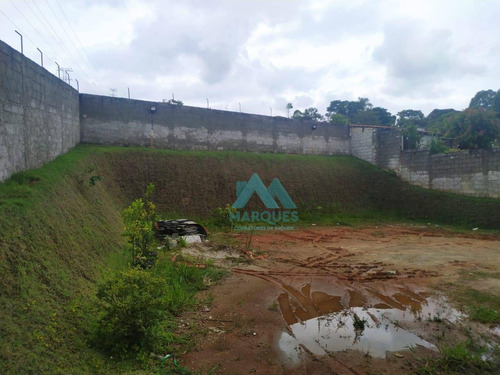 Imagem 20 de 29 de Chácara Com Linda Vista, Área De Lazer Pronta E Apenas Acabamento Na Casa, Estuda Permuta Com Imóvel Em Caragua - Ch0031