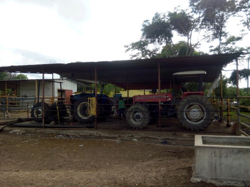 Imagen 11 de 27 de Se Vende Finca En Caicara De Maturin Sec Bajo Gde Ve02-1143cai-mtru