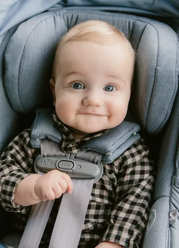 Mesa bryce car seat hotsell