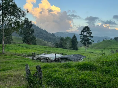 Vendo Finca Carolina Del Príncipe 11 Hectáreas