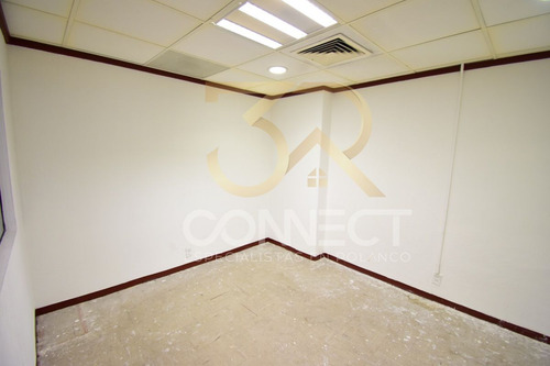Oficina En Renta En Anzures 22c/3b/1e - Excelente Ubicación - 650m2