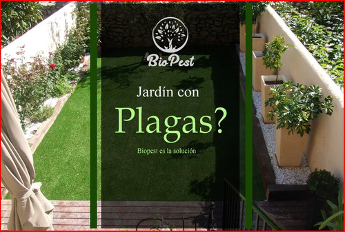 Imagen 7 de 12 de Control De Plagas Con Responsabilidad Ambiental.