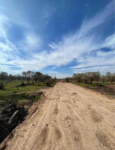 Vendo Terreno En El Pato. En Conominio Los Olivos