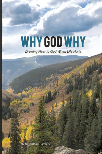 Why God Why, De Sommer, Nathan. Editorial Xulon Pr, Tapa Blanda En Inglés