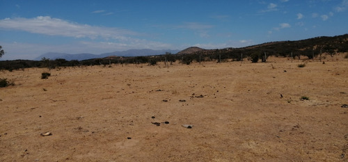 Parcela Plana Sector Los Borrisqueros Limache.