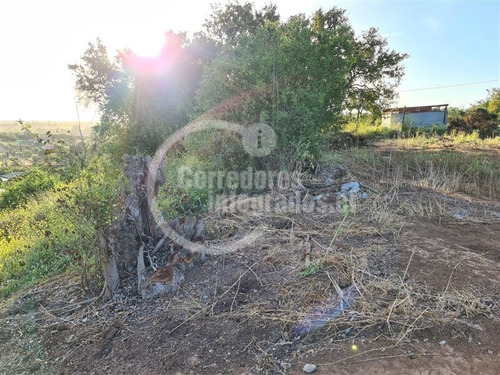 Imagen 6 de 16 de Sitio En Venta Condominio