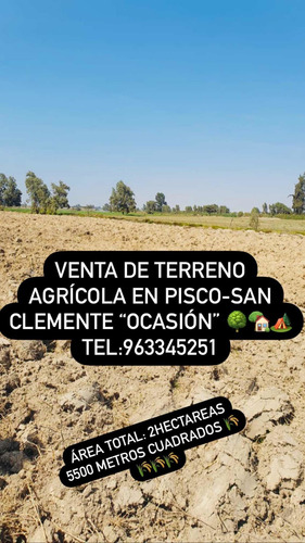 Imagen 10 de 11 de Terreno Agrícola En Pisco - San Clemente Ocasión De Venta