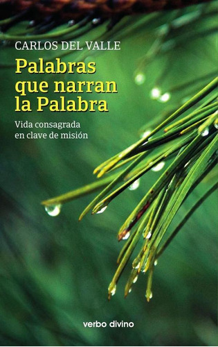 Palabras Que Narran La Palabra, De Carlos Del Valle García. Editorial Verbo Divino, Tapa Blanda En Español, 2022