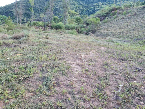 Imagem 9 de 13 de Chácara Vista Privilegiada Santo Antônio Do Pinhal - Sp - Centro - St-11501