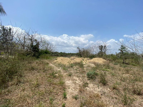 Renta Terreno 1120 M² Col. Isla De Los Potreros Tuxpan Veracruz