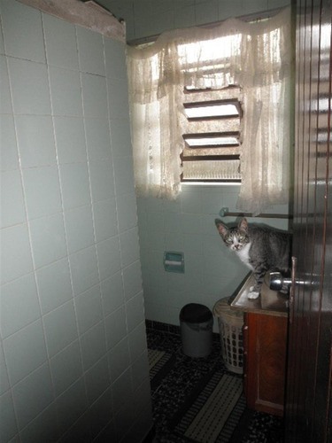 Imagem 19 de 19 de Casas Na Praia À Venda Em Itanhaem/sp - Compre O Seu Casas Na Praia Aqui! - 1349087