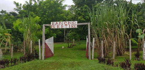 Imagen 5 de 15 de Increíble Lote En Venta Con 270 M Lineales De Laguna De Bacalar C1314