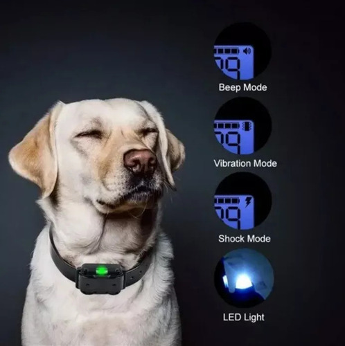 1 Collar De Choque Elecom Con Control Remoto Anti-cáscara