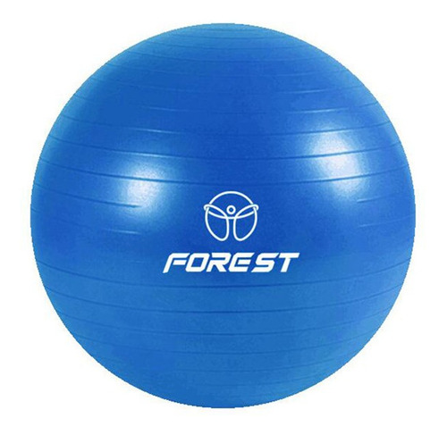 Imagen 1 de 7 de Pelota Yoga Esferodinamia Suiza 65 Cm Gym Pilates Ball
