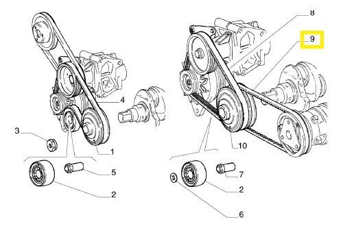Correa Distribucion Fiat Tipo 1.6 Original 1993-1997
