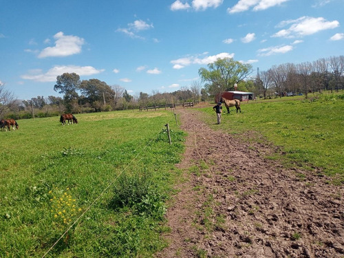 Imagen 10 de 30 de Campo En Venta Zona Polo, Pilar, Con 2 Canchas De Polo Y Varias Mejoras