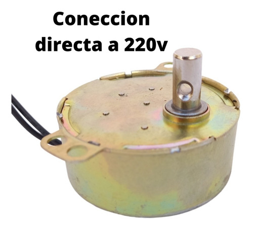 Imagen 3 de 6 de Motor 220v Giratorio Spiedo 5/6 Rpm 4w