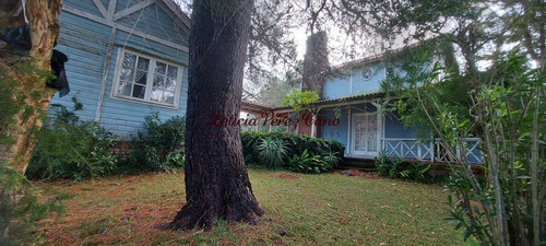 Imagen 13 de 16 de Venta Chacra En La Pataia Con Casa 4 Dormitorios