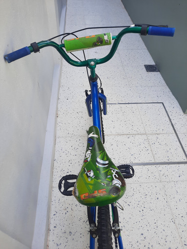 Bicicleta Niño Rodado 20 Impecable Azul 36 Cm (Usado)