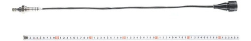 A-premium O2 Oxígeno Reemplazo Del Sensor Para Bmw E30 325is