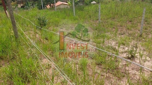 Imagem 7 de 7 de Terreno - Ref: 2468 - V-2468