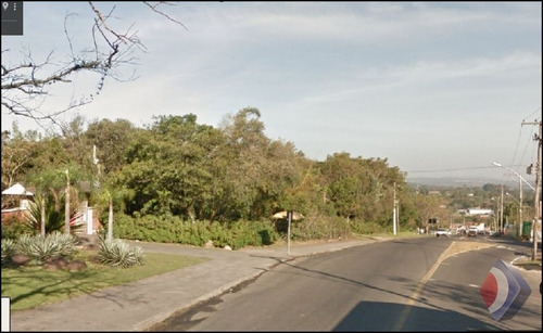 Imagem 3 de 3 de Terreno - Belem Velho - Ref: 8240 - V-8240