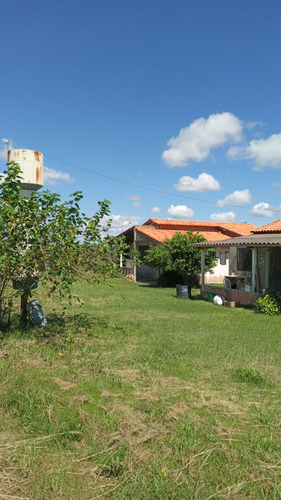 Vende Se Sítio Na Cidade De Pereiras Sp 30.000 Metros 2 Casa