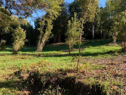 Imagen 7 de 14 de Sitio En Venta En Cascada