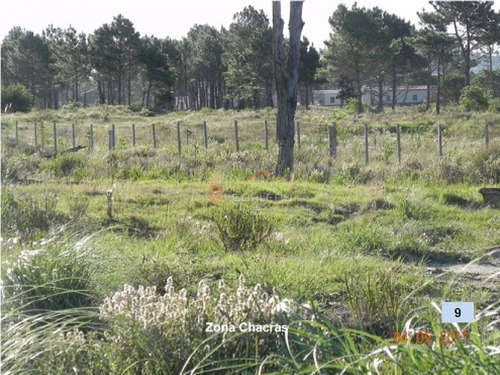 Imagen 5 de 26 de Terreno En Venta En Rocha, Zona De Punta Del Diablo, Bosque De La Viuda