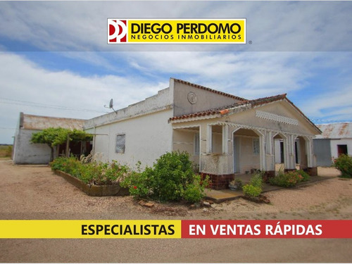 Chacra De 12,3 Has En Venta, San José