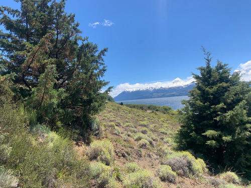 El Mejor Terreno De Huechulafquen, Con Costa De Lago, Vista Al Volcan Lanin
