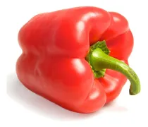 Comprar Semillas De Morrón Para Huertas Cultivo Hortícola