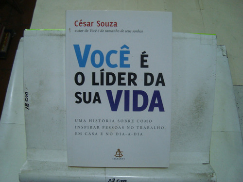 Livro - Você É O Líder Da Sua Vida - César Souza