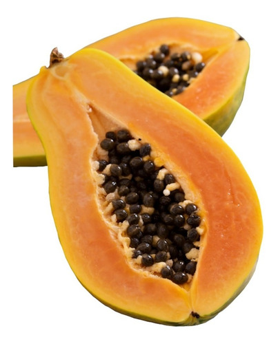 150 Sementes De Mamão Papaya Hawaii Isla -pct 2,50 Grs