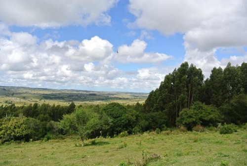 Campo En Venta