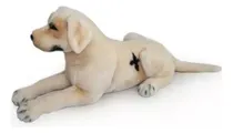 Comprar Peluche Numi Perro Acostado 0308 Mundo Kanata