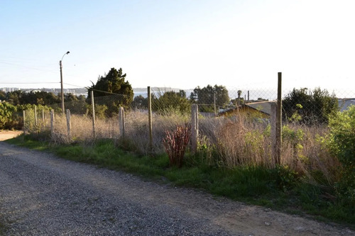 Invierte En Un Sitio En Algarrobo Norte