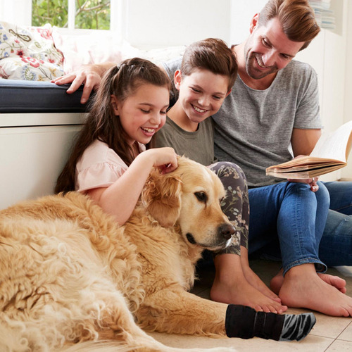 Calcetines Antideslizantes For Perros Calcetines Ant