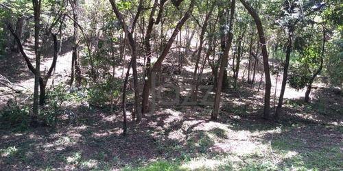 Imagem 11 de 12 de Terreno À Venda, 1690 M²- Morada Das Nascentes (joaquim Egídio) - Campinas/sp - Te2797
