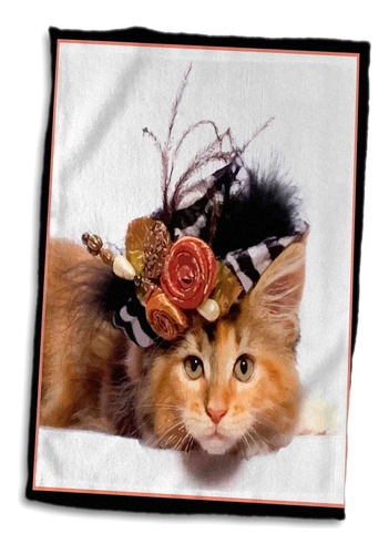 3d Rose Cat N Sombrero De Plumas Twl__1 Toalla, 15 X 22