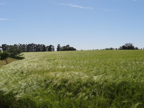 Lotes De 1 Há. Con Vista Al Rio De La Plata - San Pedro