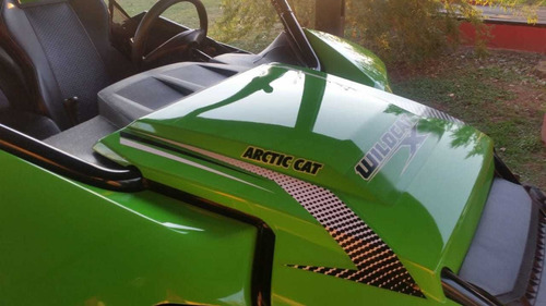 Arctic Cat Wild Cat 1000x