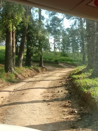 Imagem 3 de 8 de Condomínio De Chácaras Terreno 20x50 1000m2,muita Área Verde,bem Localizado,rota Do Vinho São Roque - Te00109 - 69314304