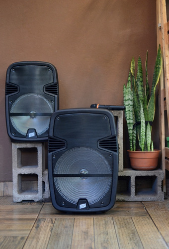 Parlante 12 Portatil Gran Potencia 5000w Bluetooth Karaoke