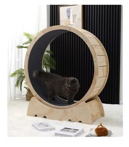 Imagen 2 de 4 de Rueda Para Gato De Entrenamiento Juguete Gato Mascotas Xxl