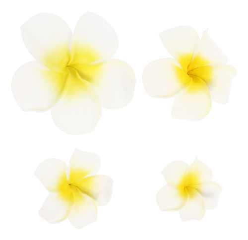 Pinzas Para El Pelo Con Forma De Flor Hawaiana, 4 Unidades,