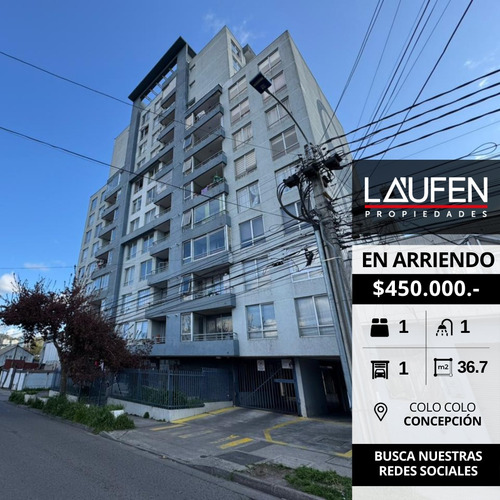 Se Arrienda Hermoso Departamento En Concepcion