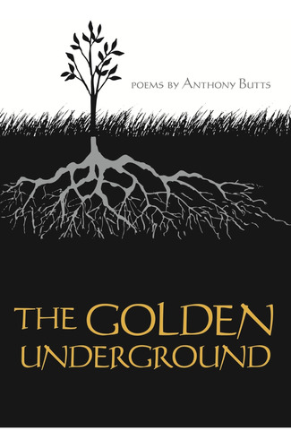 Libro: The Golden Underground (african American Life Series)