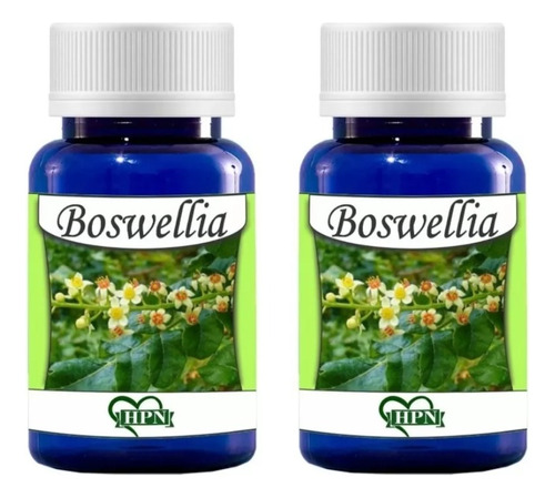 Boswellia Serrata (olíbano) 120 Cápsulas 500mg Hpn